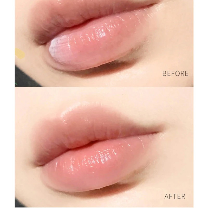 1Pc Natural Plant Lip Balm Moi - Beauty Makeup Korean ulasan dan harga